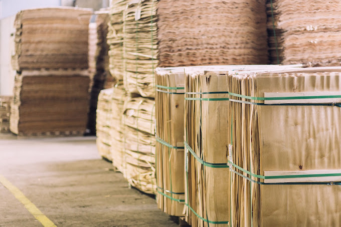 中国成为越南最大木片出口市场